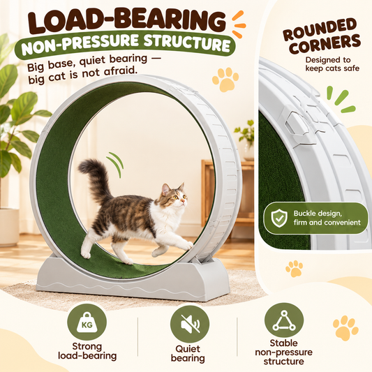 Cat Exercise Wheel – Interactive Treadmill for Cats
