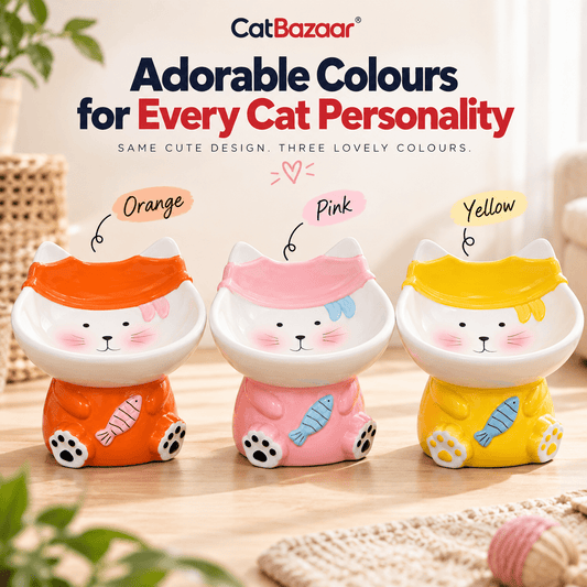 Elevated Ceramic Cat Food Bowl - Catbazaar.in