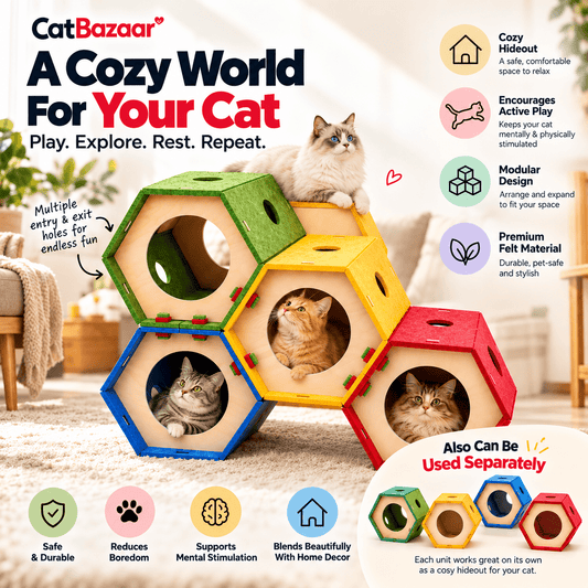 Modular Cardboard Cat Tunnel Play House Hideout - Catbazaar.in