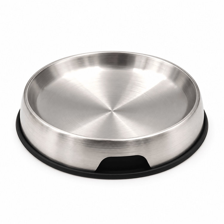 Cat Dining Essentials - Catbazaar.in