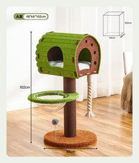 Climb and Perch