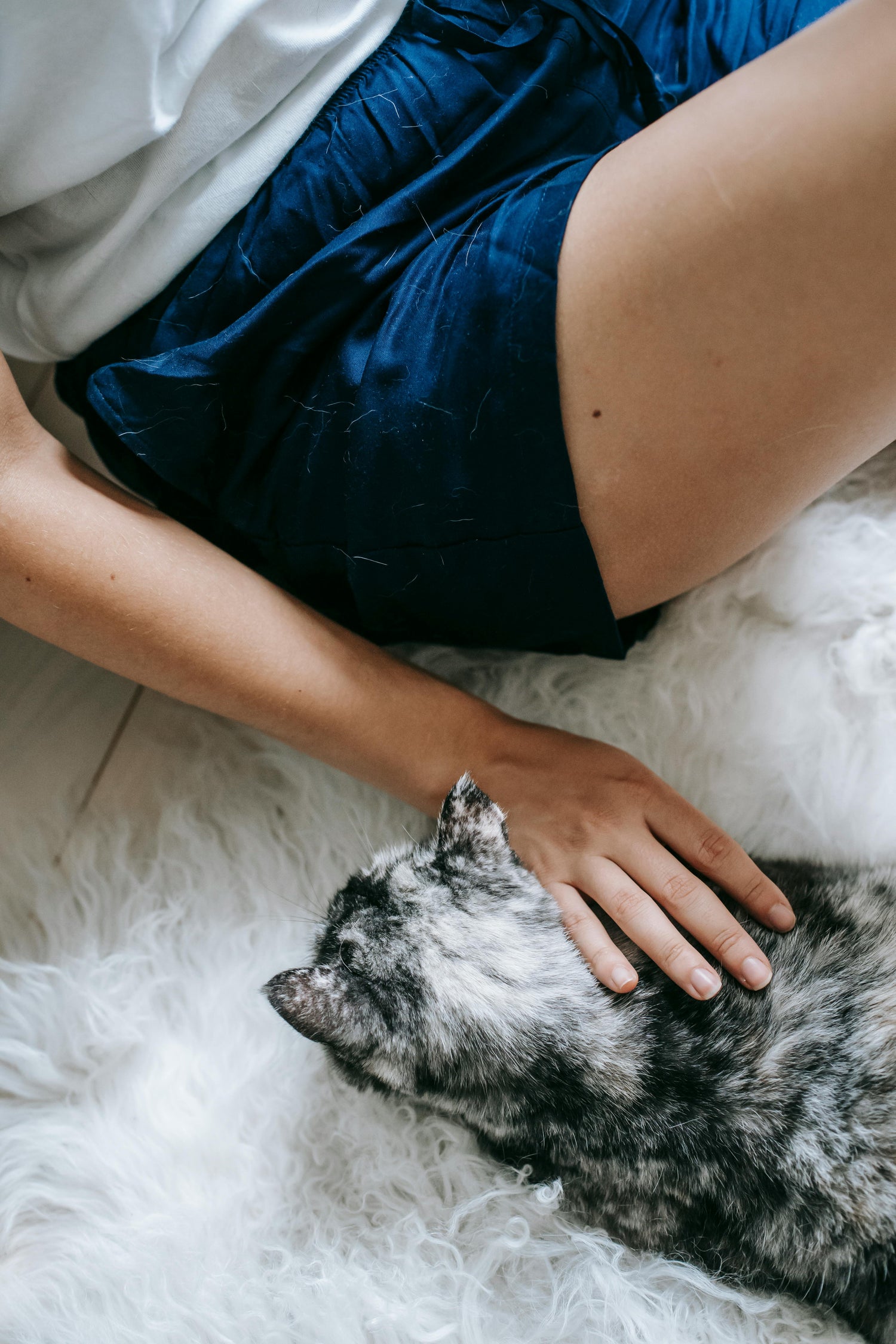 Cat Parent Essentials