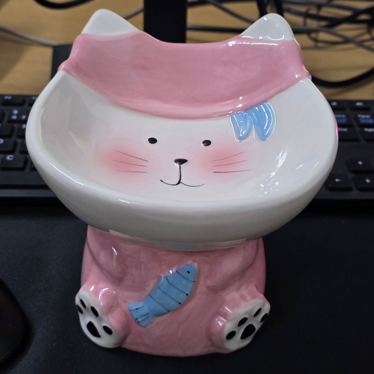 Cute Elevated Ceramic Cat Bowl | Whisker-Friendly Tilted Feeding Bowl (Anti-Spill & Neck Support)