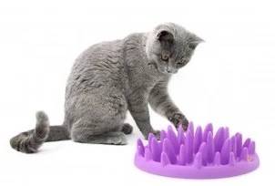 Anti-Gulp Slow Feeder Cat Bowl | Silicone Spike Feeding Mat for Healthy Eating