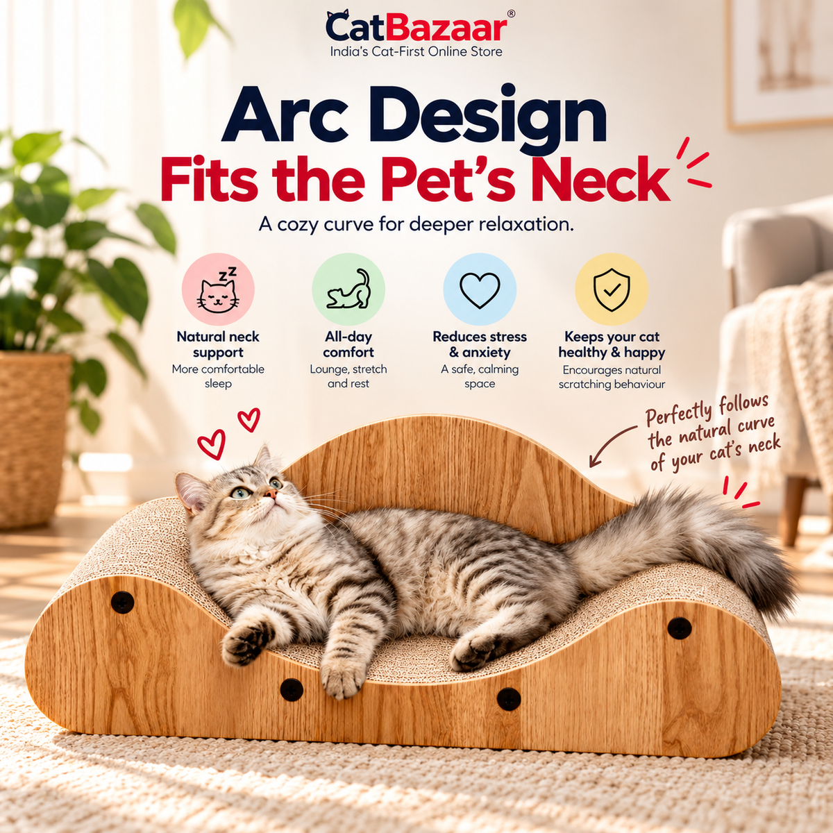 Wooden Cat Scratcher Bed & Curved Lounger