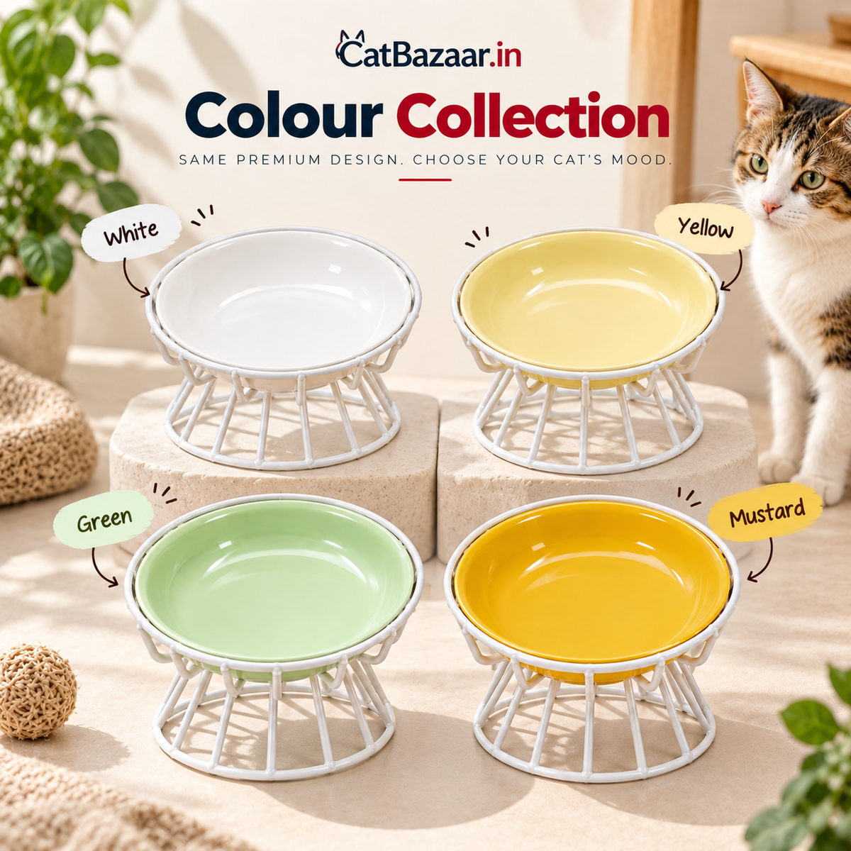 Elevated Ceramic Bowl with White Metal Stand