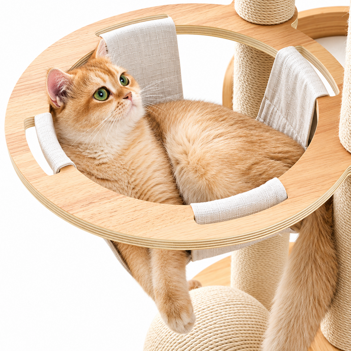 Multi-Level Cat Tree with Scratching Posts & Hammock
