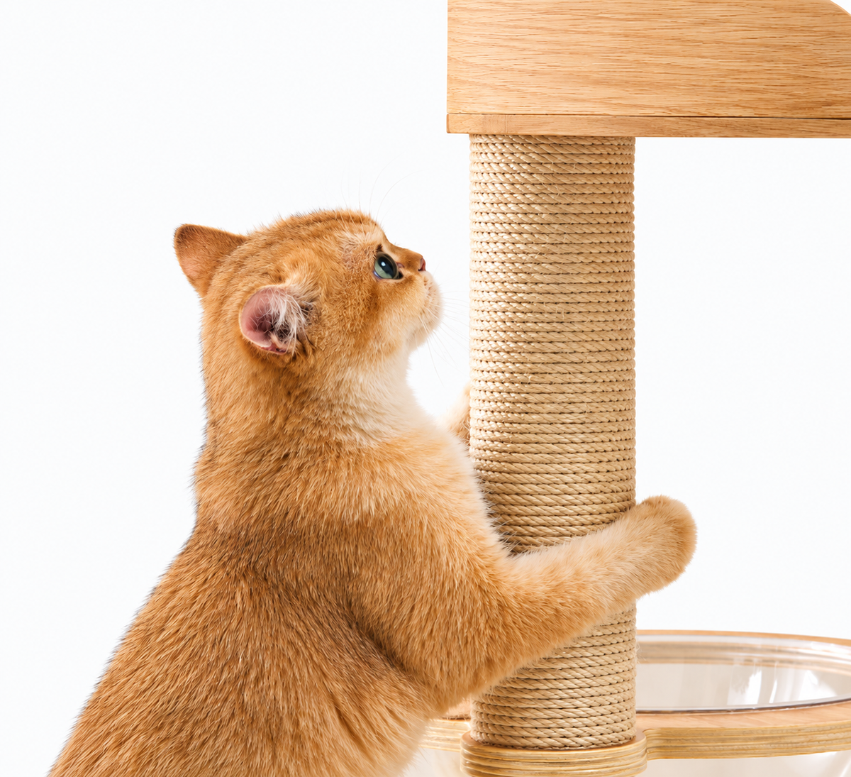 Multi-Level Cat Tower with Scratching Posts & Cozy Beds