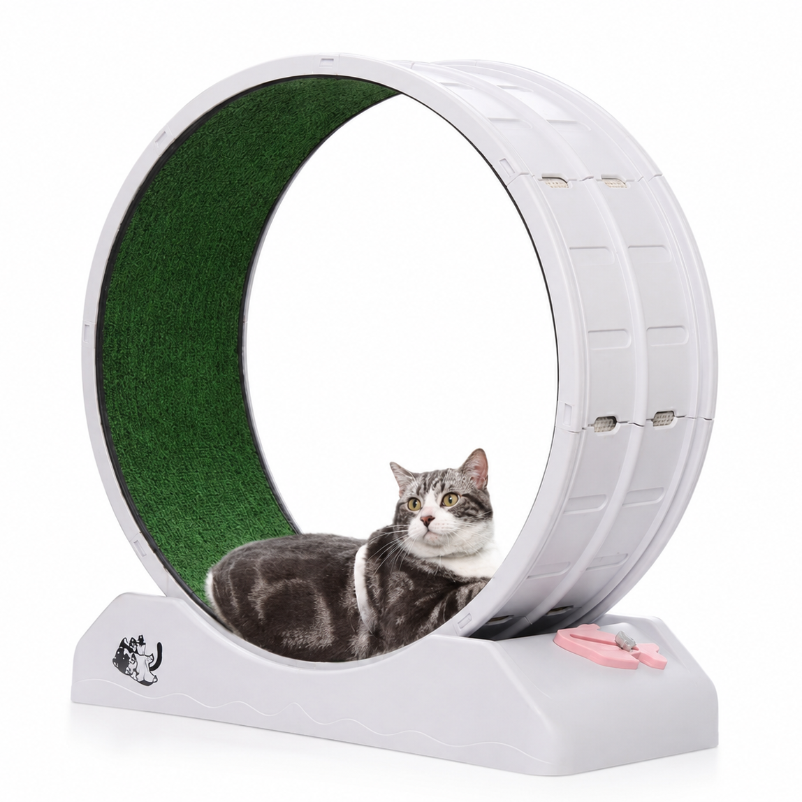 Cat Exercise Wheel – Interactive Treadmill for Cats
