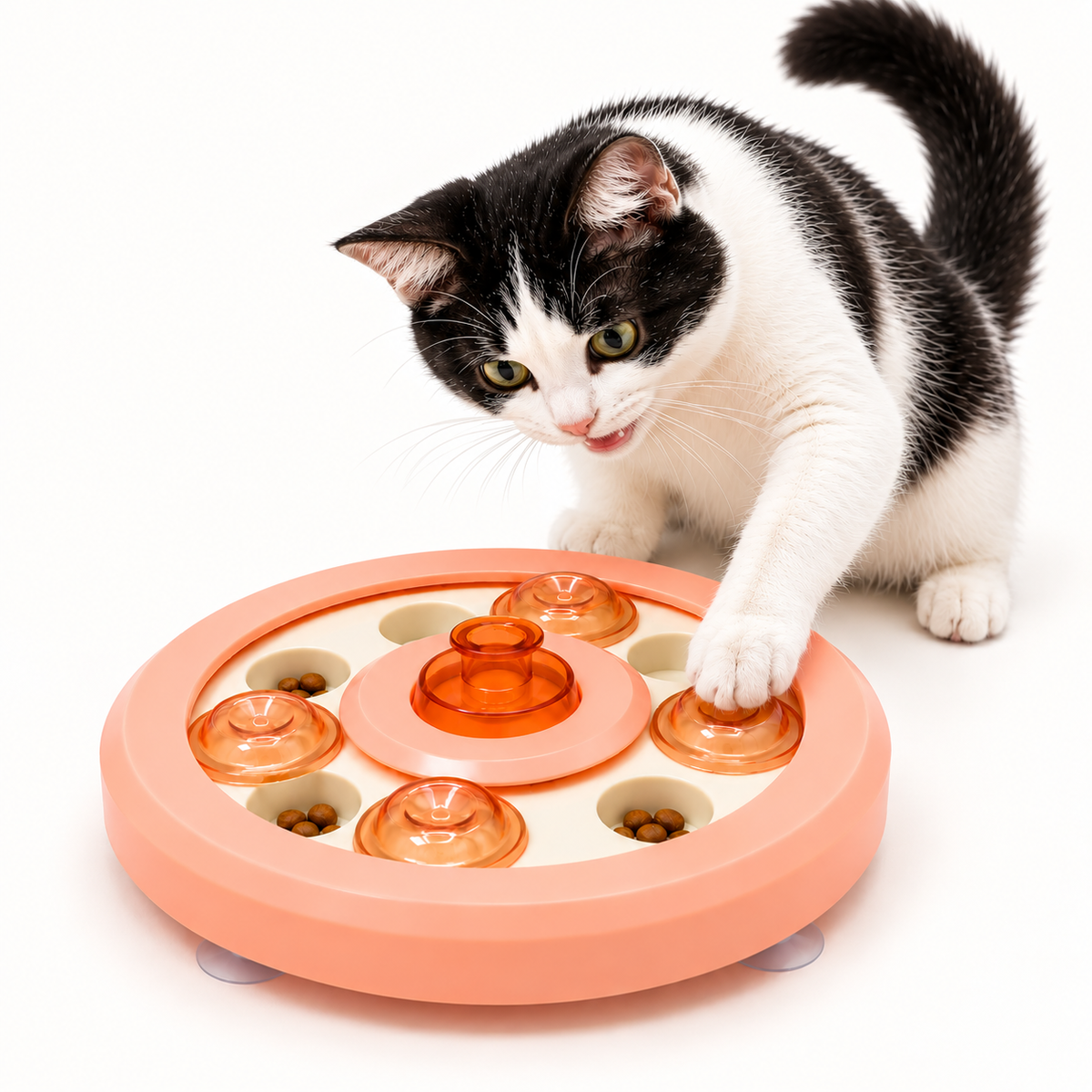 Interactive Puzzle Feeder – Slow Food Dispenser