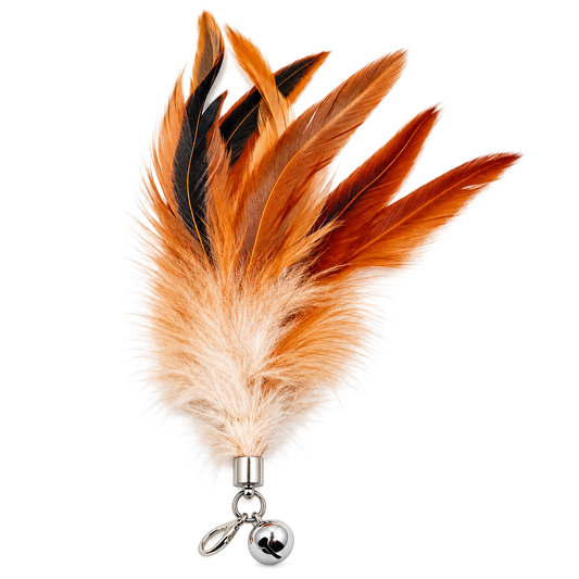 Natural Feather Cat Teaser Toy with Bell – Pack of 4