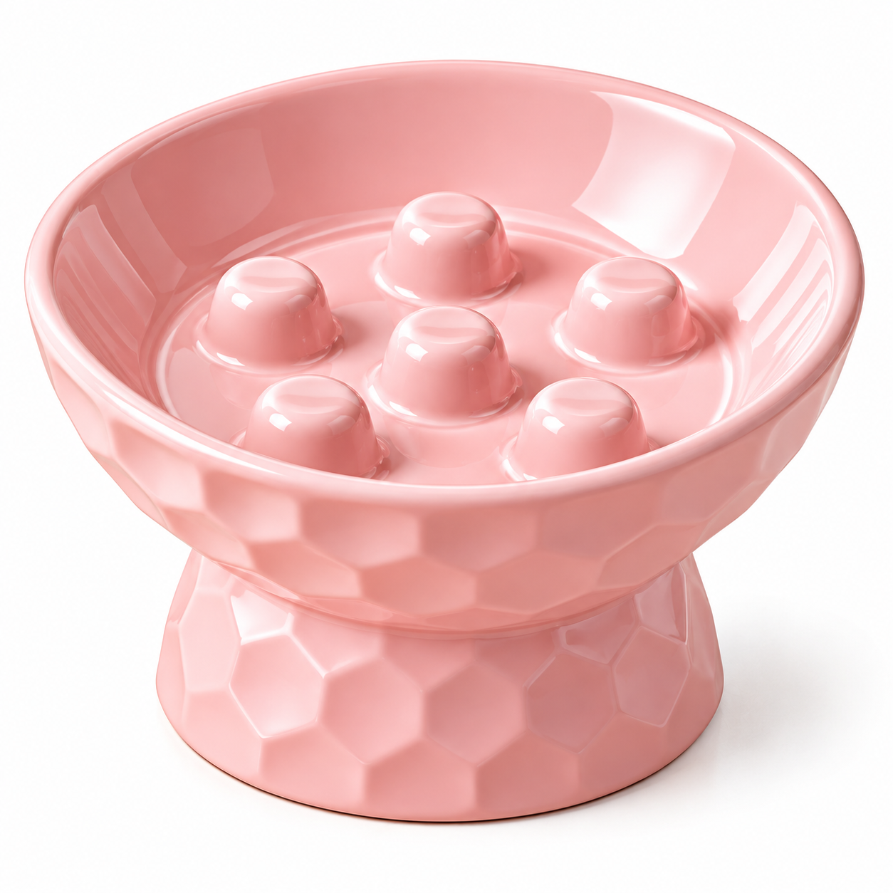 Ceramic Slow Feeder Bowl-Elevated | Anti-Gulp