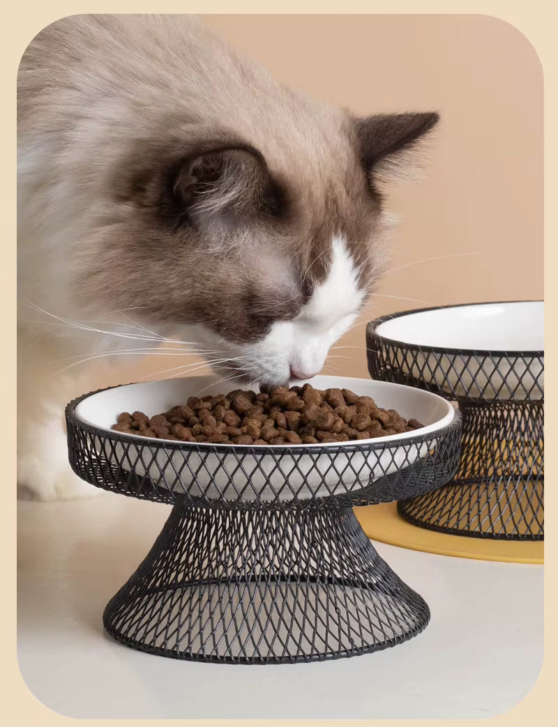 Elevated Ceramic Cat Bowl | Anti-Whisker Fatigue Feeding Bowl | Raised Food Bowl for Cats