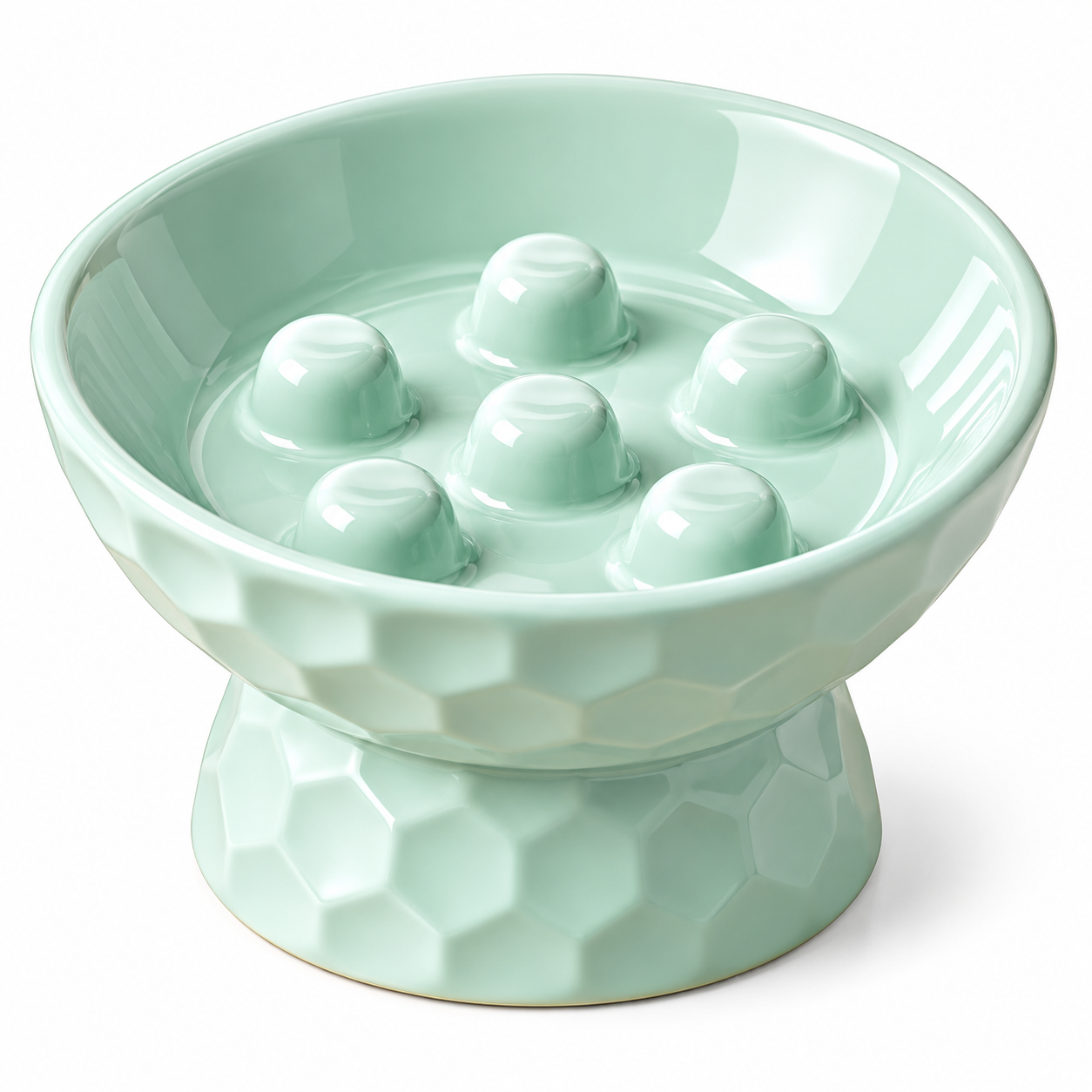 Ceramic Slow Feeder Bowl-Elevated | Anti-Gulp