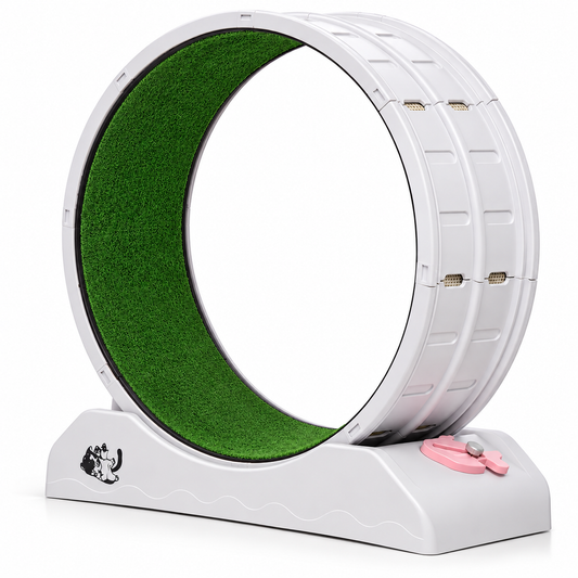 Cat Exercise Wheel – Interactive Treadmill for Cats