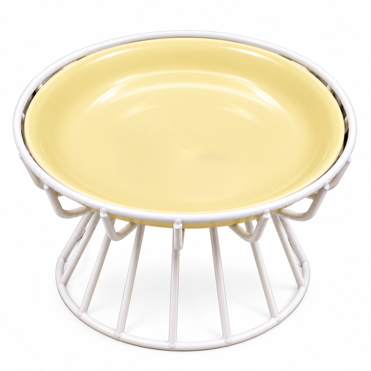 Elevated Ceramic Bowl with White Metal Stand