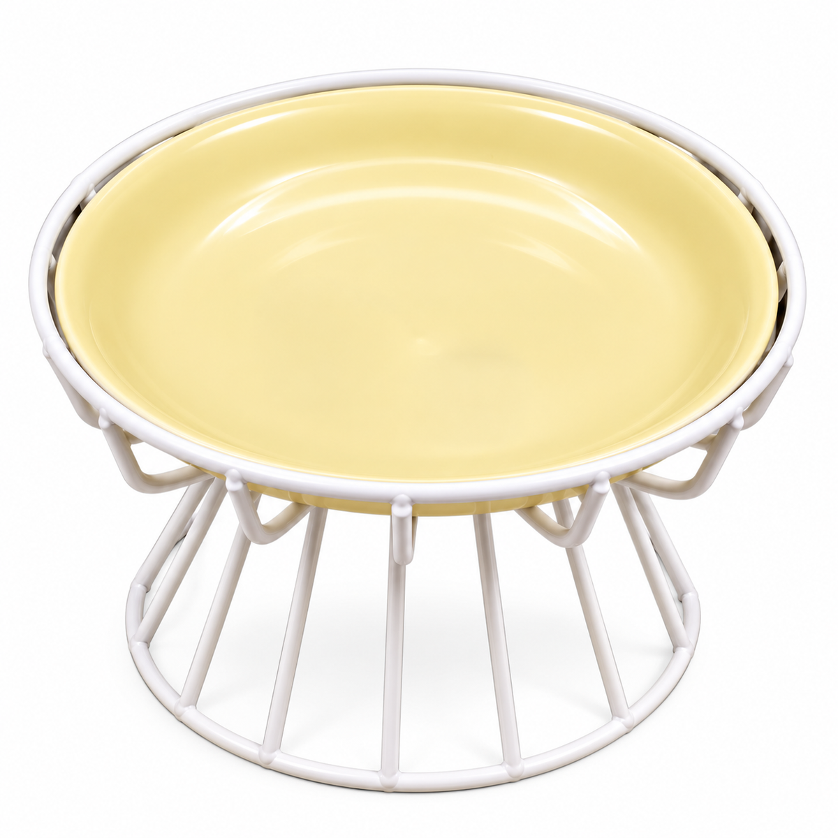 Elevated Ceramic Bowl with White Metal Stand
