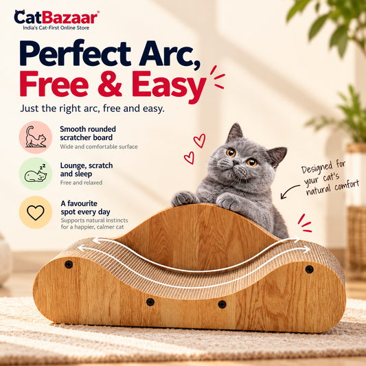 Wooden Cat Scratcher Bed & Curved Lounger