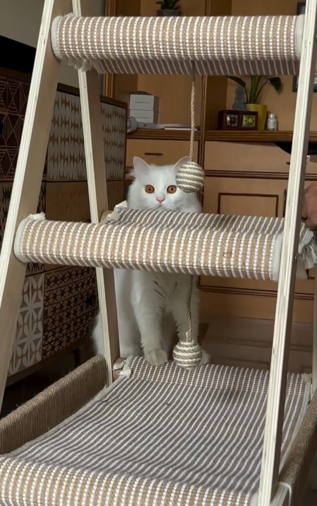 Multi-Level Wooden Cat Climbing Frame – Scratch, Climb & Relax