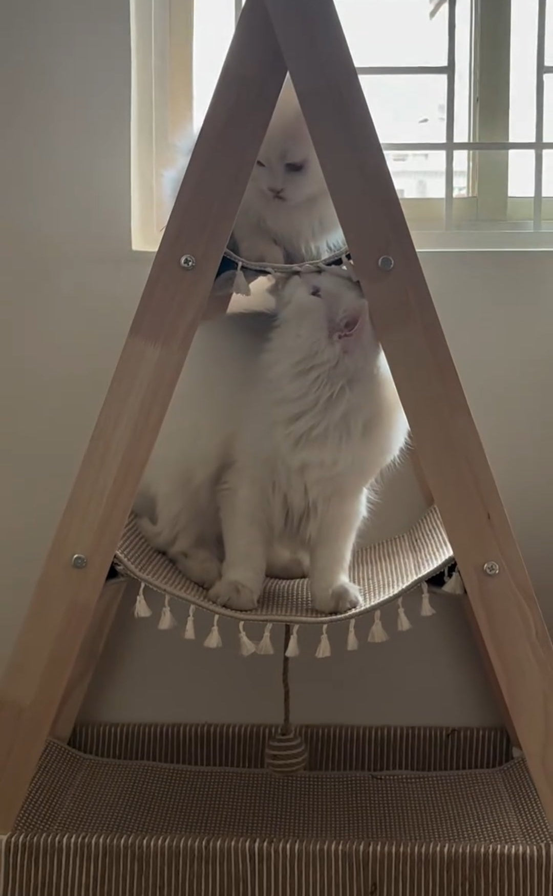Multi-Level Wooden Cat Climbing Frame – Scratch, Climb & Relax