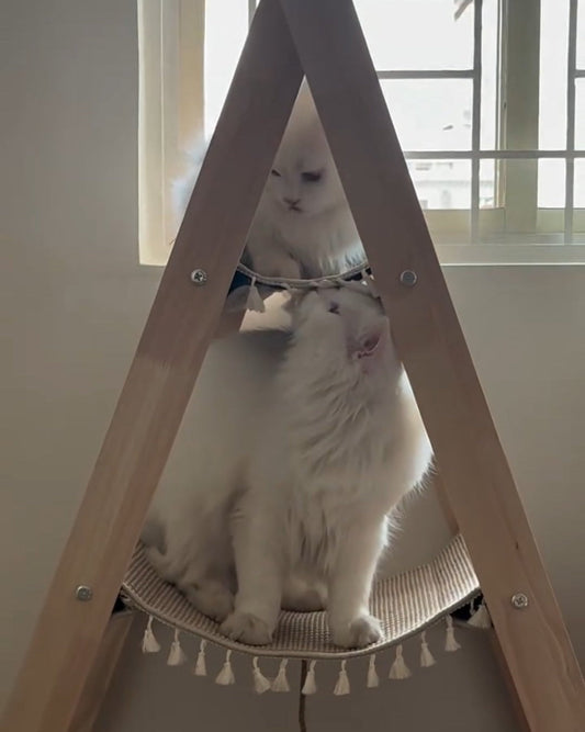 Cat Climbing Frame – Scratch, Climb & Relax