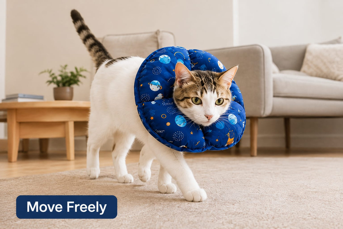 Cat Recovery Collar – Soft Protective E-Collar