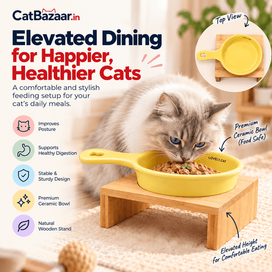 Ceramic food bowl with handle-Wooden Stand - Catbazaar.in