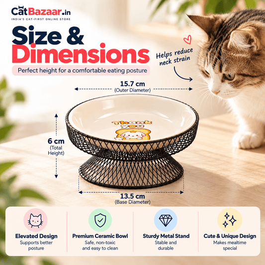 Ceramic Raised Cat Bowl – Whisker-Friendly Design - Catbazaar.in