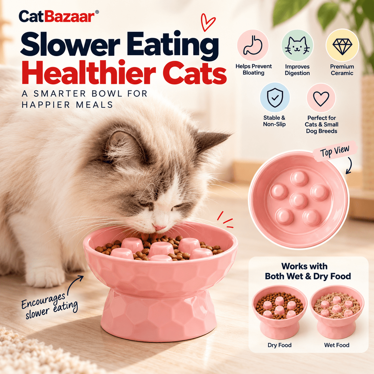 Ceramic Slow Feeder Bowl-Elevated | Anti-Gulp - Catbazaar.in