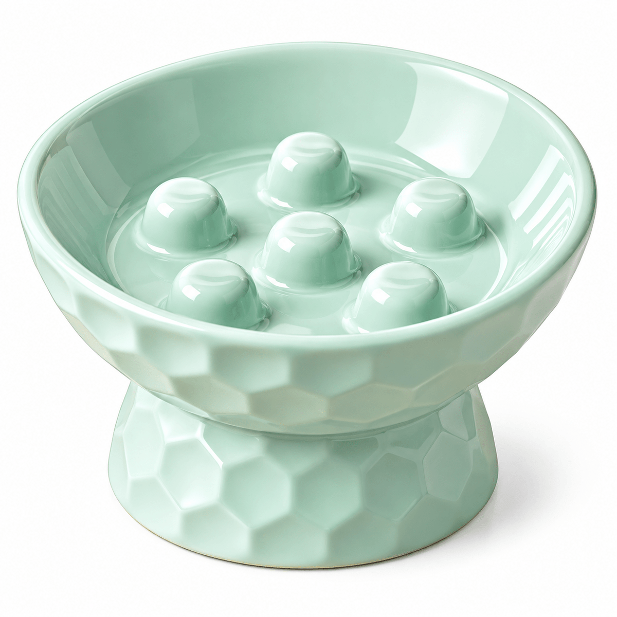 Ceramic Slow Feeder Bowl-Elevated | Anti-Gulp - Catbazaar.in