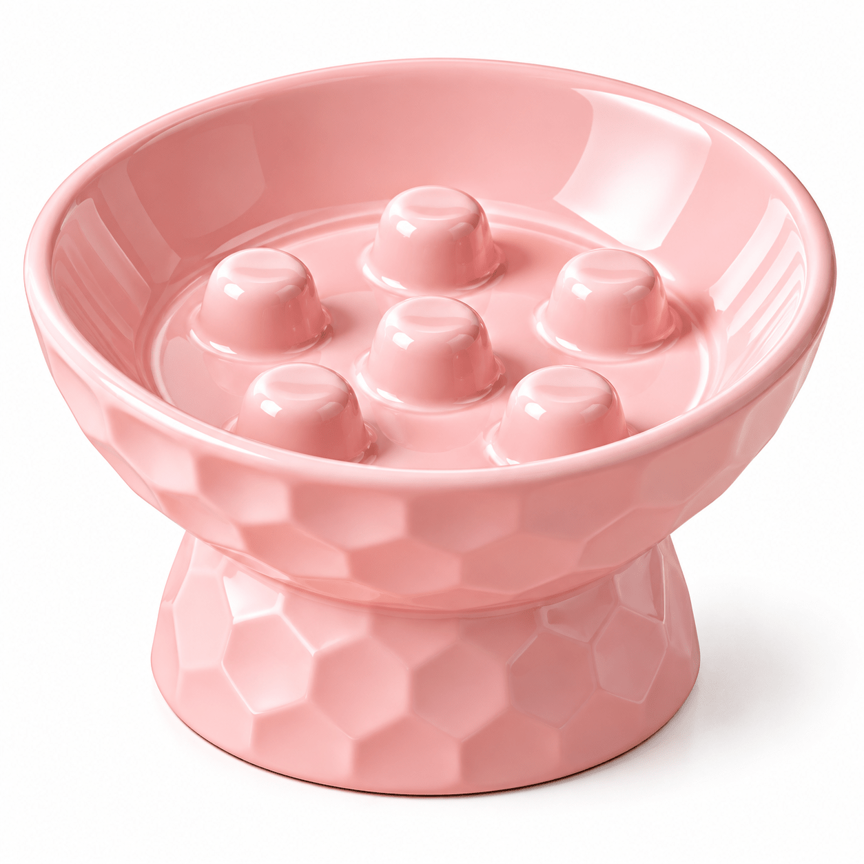 Ceramic Slow Feeder Bowl-Elevated | Anti-Gulp - Catbazaar.in