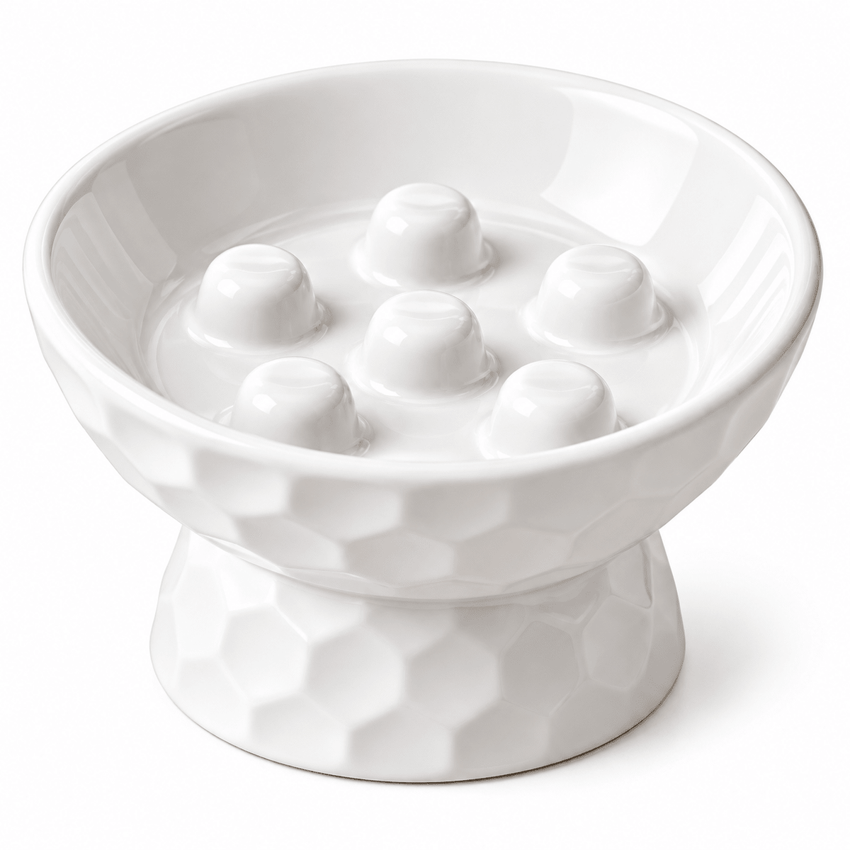Ceramic Slow Feeder Bowl-Elevated | Anti-Gulp - Catbazaar.in