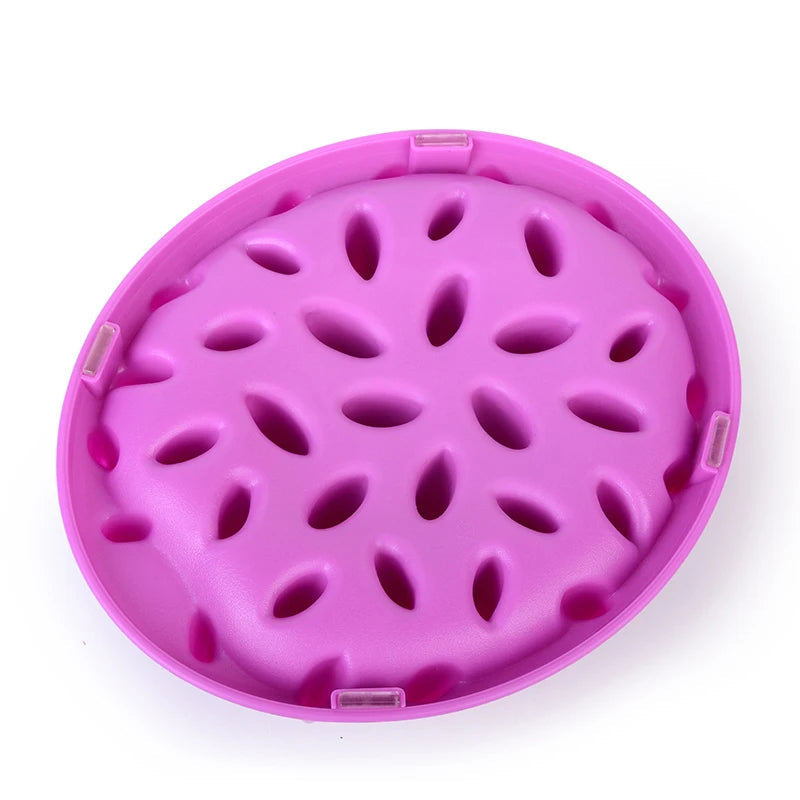 Anti-Gulp Slow Feeder Cat Bowl | Silicone Spike Feeding Mat for Healthy Eating