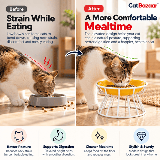 Elevated Ceramic Bowl with White Metal Stand - Catbazaar.in