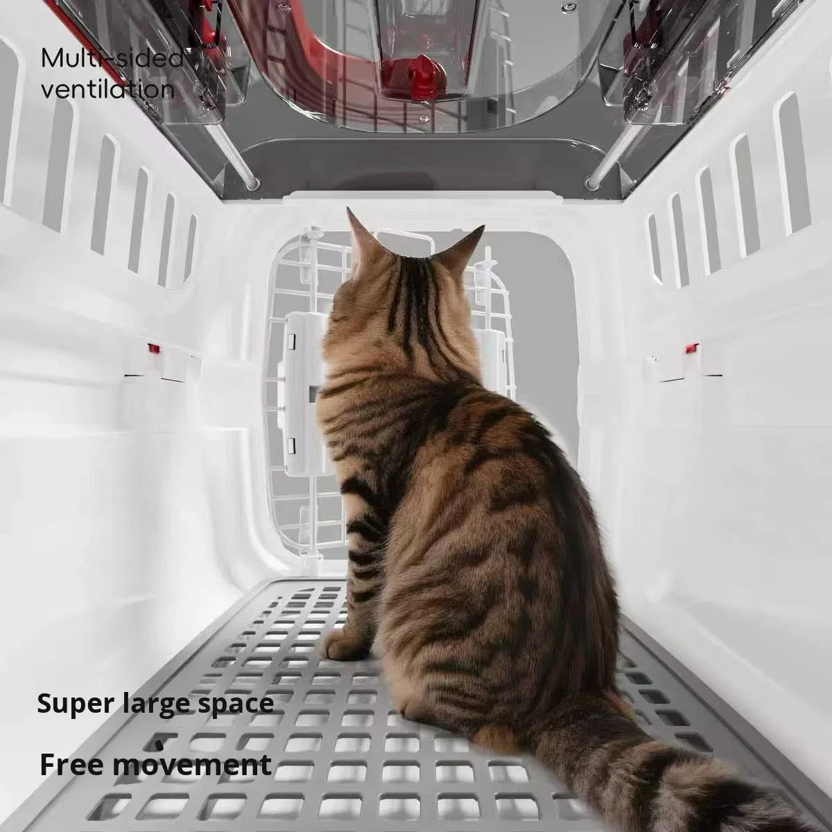 Premium Hard-Shell Cat Carrier | Secure Travel Crate for Cats & Small Pets | Airline-Friendly Carrier