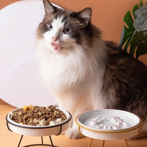 Elevated Slow Feeder Cat Bowl | Anti-Gulping Ceramic Bowl with Stand | Whisker-Friendly Healthy Feeding Bowl