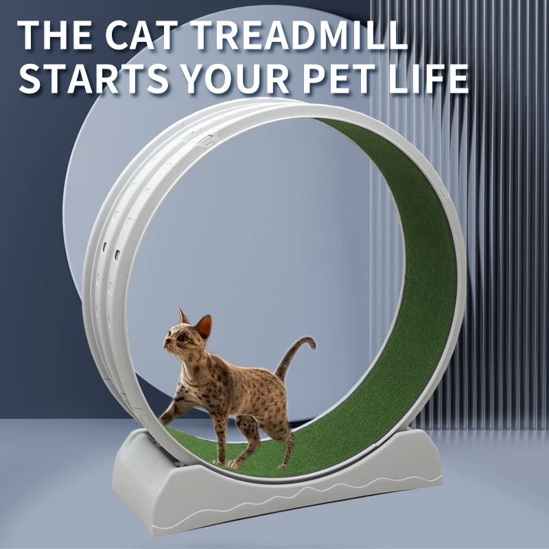 Interactive Anti-depression Cat Exercise Treadmill
