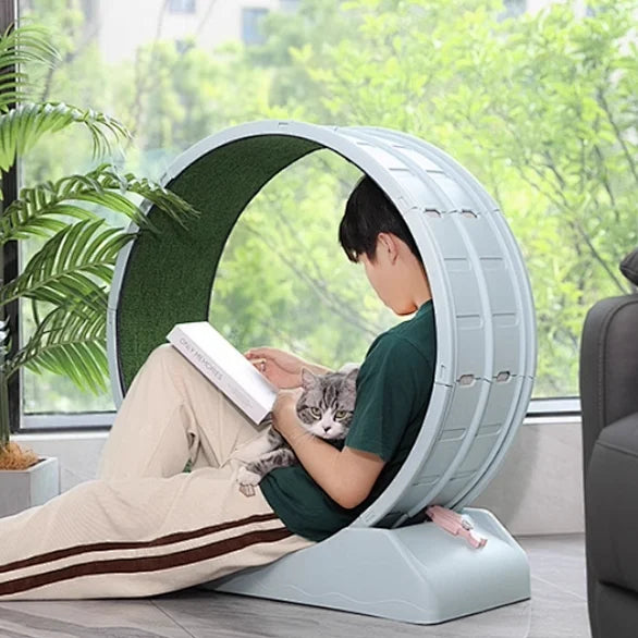 Interactive Anti-depression Cat Exercise Treadmill