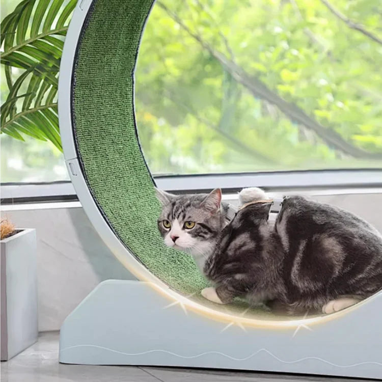 Interactive Anti-depression Cat Exercise Treadmill