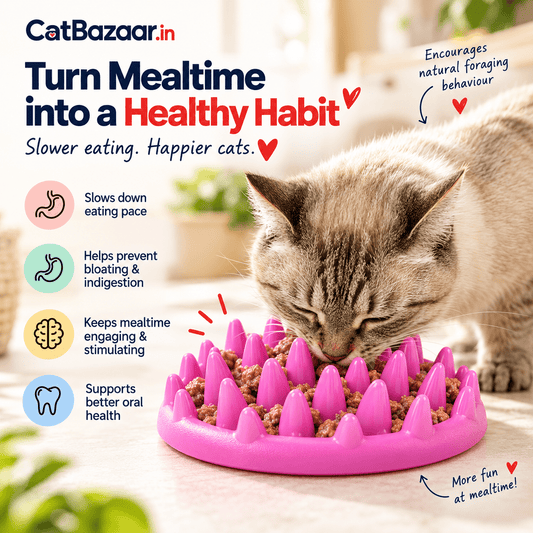 Slow Feeder Cat Bowl – Anti-Gulp Silicone Mat - Catbazaar.in