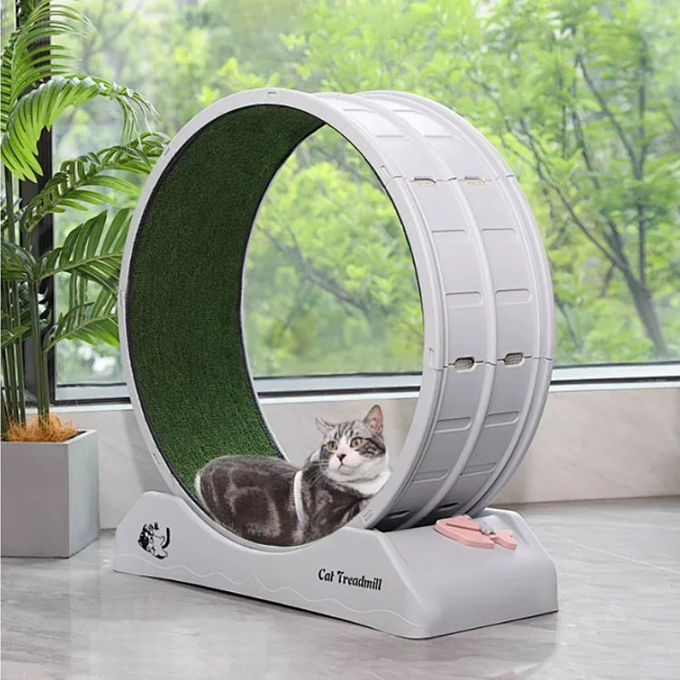 Interactive Anti-depression Cat Exercise Treadmill